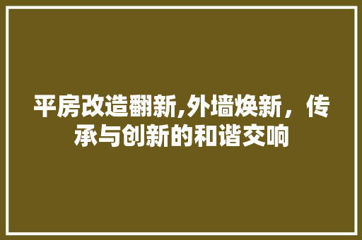 平房改造翻新,外墙焕新，传承与创新的和谐交响
