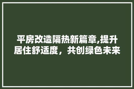 平房改造隔热新篇章,提升居住舒适度，共创绿色未来