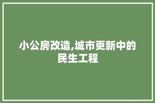 小公房改造,城市更新中的民生工程