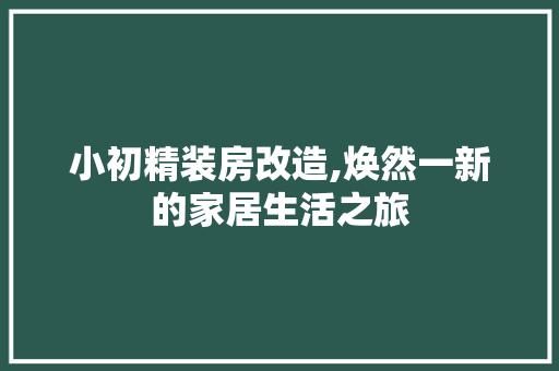 小初精装房改造,焕然一新的家居生活之旅