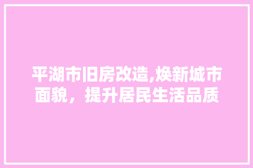 平湖市旧房改造,焕新城市面貌，提升居民生活品质