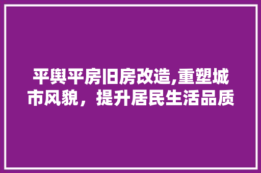 平舆平房旧房改造,重塑城市风貌，提升居民生活品质
