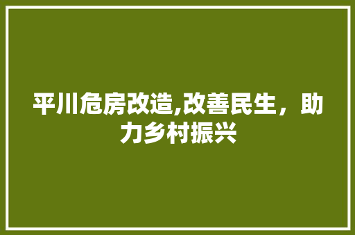 平川危房改造,改善民生，助力乡村振兴