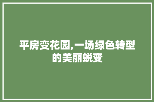 平房变花园,一场绿色转型的美丽蜕变