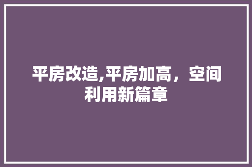 平房改造,平房加高，空间利用新篇章