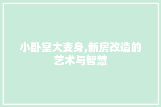 小卧室大变身,新房改造的艺术与智慧