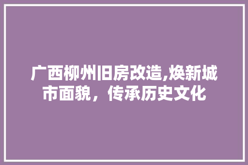 广西柳州旧房改造,焕新城市面貌，传承历史文化