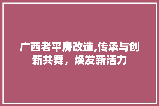 广西老平房改造,传承与创新共舞，焕发新活力