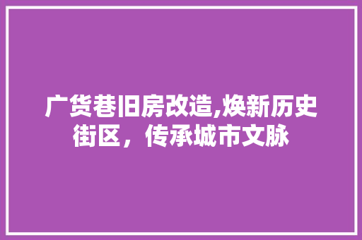 广货巷旧房改造,焕新历史街区，传承城市文脉