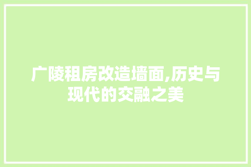 广陵租房改造墙面,历史与现代的交融之美