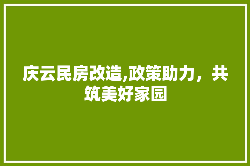 庆云民房改造,政策助力，共筑美好家园