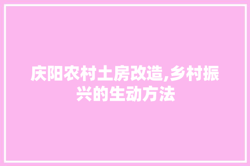 庆阳农村土房改造,乡村振兴的生动方法