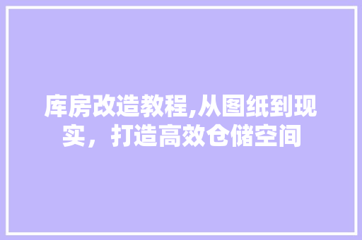 库房改造教程,从图纸到现实，打造高效仓储空间
