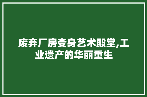 废弃厂房变身艺术殿堂,工业遗产的华丽重生