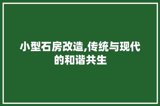 小型石房改造,传统与现代的和谐共生