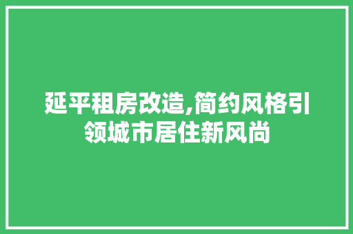 延平租房改造,简约风格引领城市居住新风尚