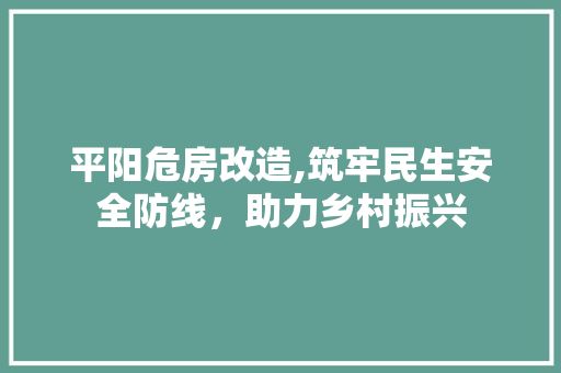 平阳危房改造,筑牢民生安全防线，助力乡村振兴