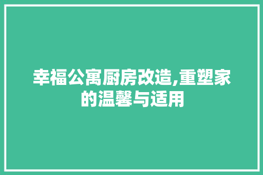 幸福公寓厨房改造,重塑家的温馨与适用