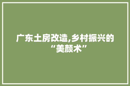 广东土房改造,乡村振兴的“美颜术”