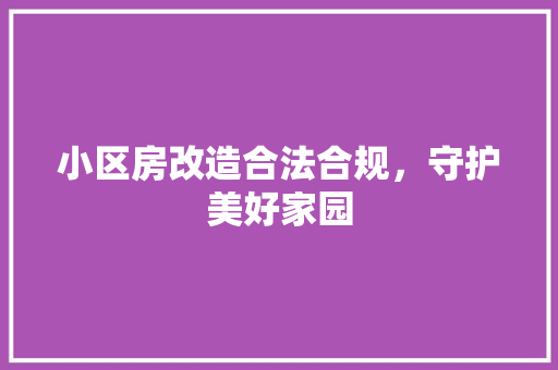 小区房改造合法合规，守护美好家园