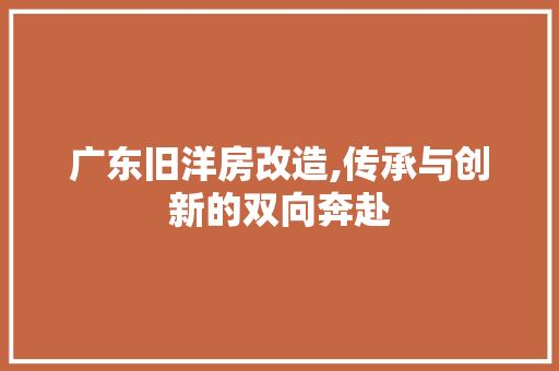 广东旧洋房改造,传承与创新的双向奔赴