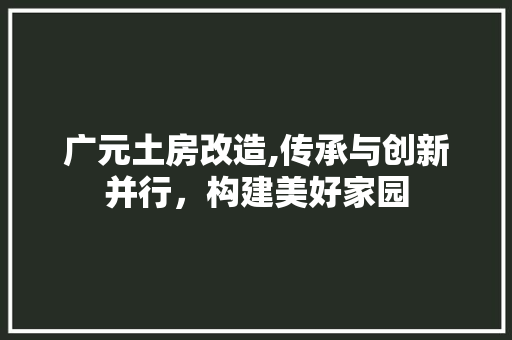 广元土房改造,传承与创新并行，构建美好家园