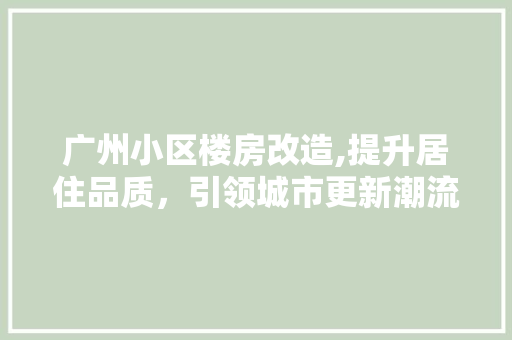广州小区楼房改造,提升居住品质，引领城市更新潮流