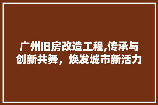 广州旧房改造工程,传承与创新共舞，焕发城市新活力