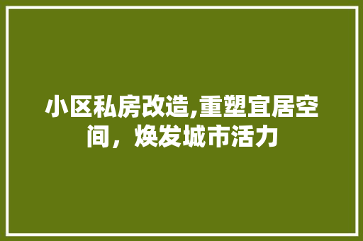 小区私房改造,重塑宜居空间，焕发城市活力