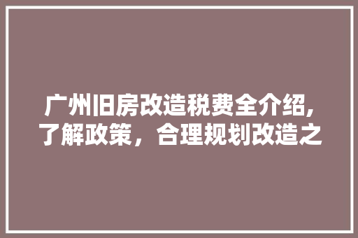 广州旧房改造税费全介绍,了解政策，合理规划改造之路