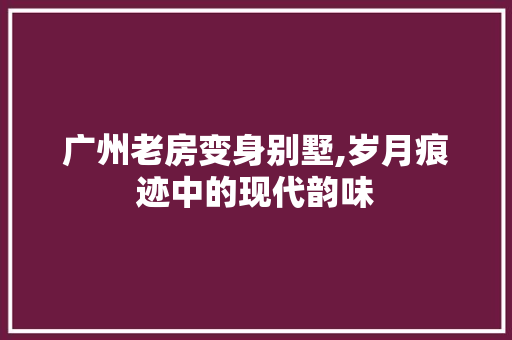 广州老房变身别墅,岁月痕迹中的现代韵味
