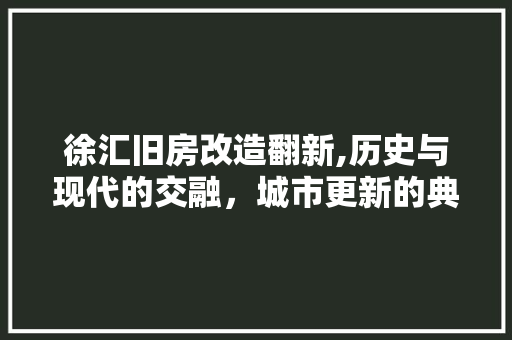 徐汇旧房改造翻新,历史与现代的交融，城市更新的典范