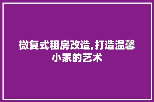 微复式租房改造,打造温馨小家的艺术