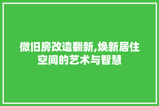 微旧房改造翻新,焕新居住空间的艺术与智慧
