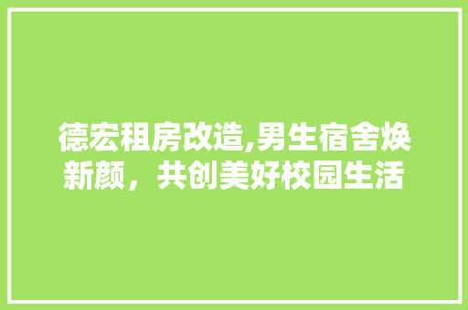 德宏租房改造,男生宿舍焕新颜，共创美好校园生活