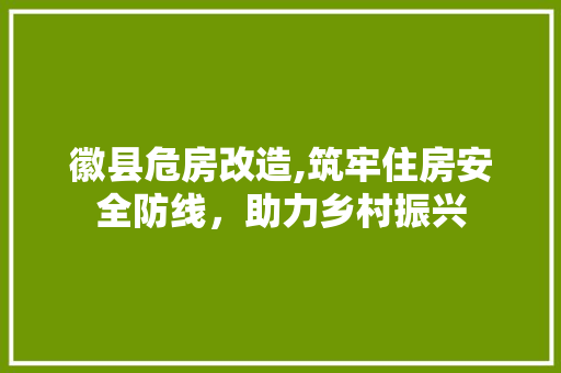 徽县危房改造,筑牢住房安全防线，助力乡村振兴