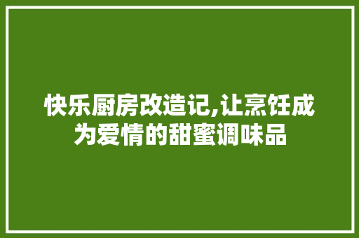 快乐厨房改造记,让烹饪成为爱情的甜蜜调味品