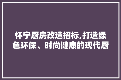 怀宁厨房改造招标,打造绿色环保、时尚健康的现代厨房新风尚
