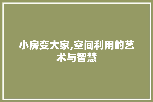 小房变大家,空间利用的艺术与智慧