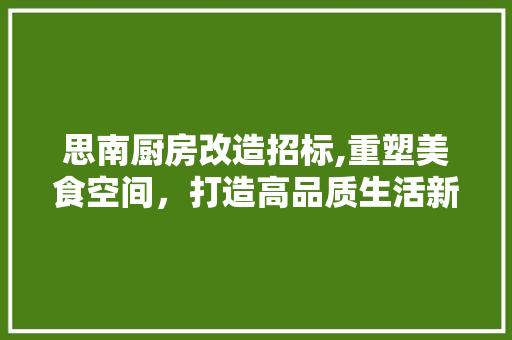 思南厨房改造招标,重塑美食空间，打造高品质生活新地标
