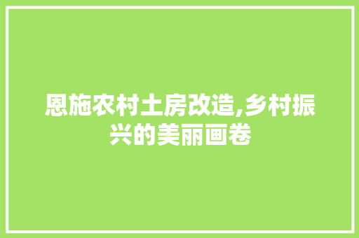 恩施农村土房改造,乡村振兴的美丽画卷