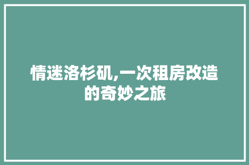 情迷洛杉矶,一次租房改造的奇妙之旅