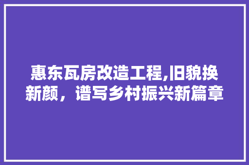 惠东瓦房改造工程,旧貌换新颜，谱写乡村振兴新篇章