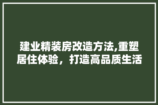 建业精装房改造方法,重塑居住体验，打造高品质生活空间