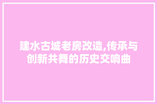 建水古城老房改造,传承与创新共舞的历史交响曲