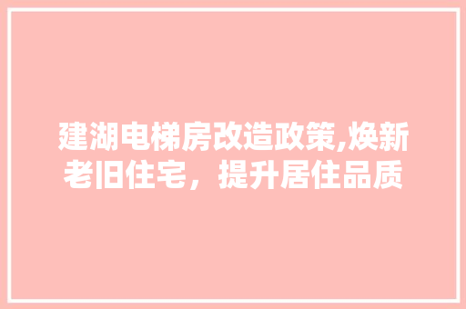 建湖电梯房改造政策,焕新老旧住宅，提升居住品质