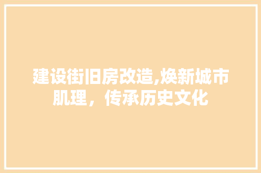 建设街旧房改造,焕新城市肌理，传承历史文化
