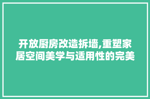 开放厨房改造拆墙,重塑家居空间美学与适用性的完美融合