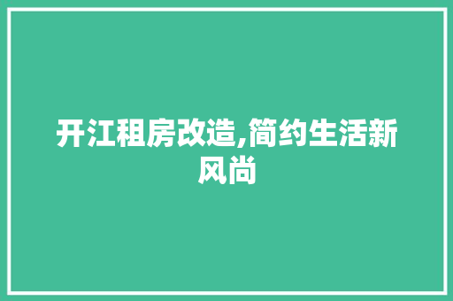 开江租房改造,简约生活新风尚
