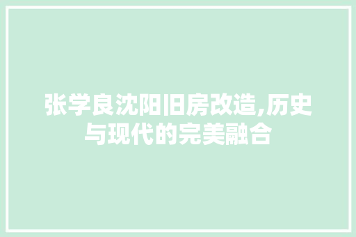 张学良沈阳旧房改造,历史与现代的完美融合